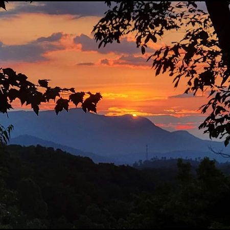 Rustic Cabin เซอเวียร์วีล ภายนอก รูปภาพ